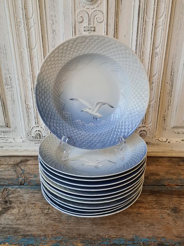 B&G Seagull without gold rim large soup plate no. 22 - 24,5 cm.