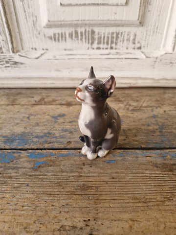 Dahl Jensen figurine - Little cat no. 1329