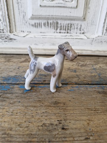 Royal Copenhagen Figur - Ruhåret Terrier no. 3170