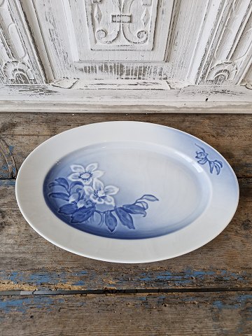 B&G Christmas rose dish no. 316 - 34 cm.