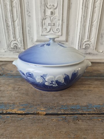 B&G Christmas rose dish No. 512