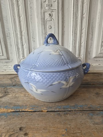 Porcelæn & Fajance