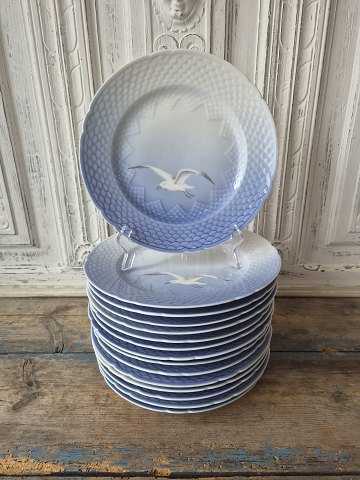 B&G Seagull set without gold rim dinner plate No. 25