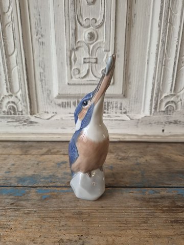 Royal Copenhagen figurine – kingfisher with a fish in its beak, no. 126 – 2257
